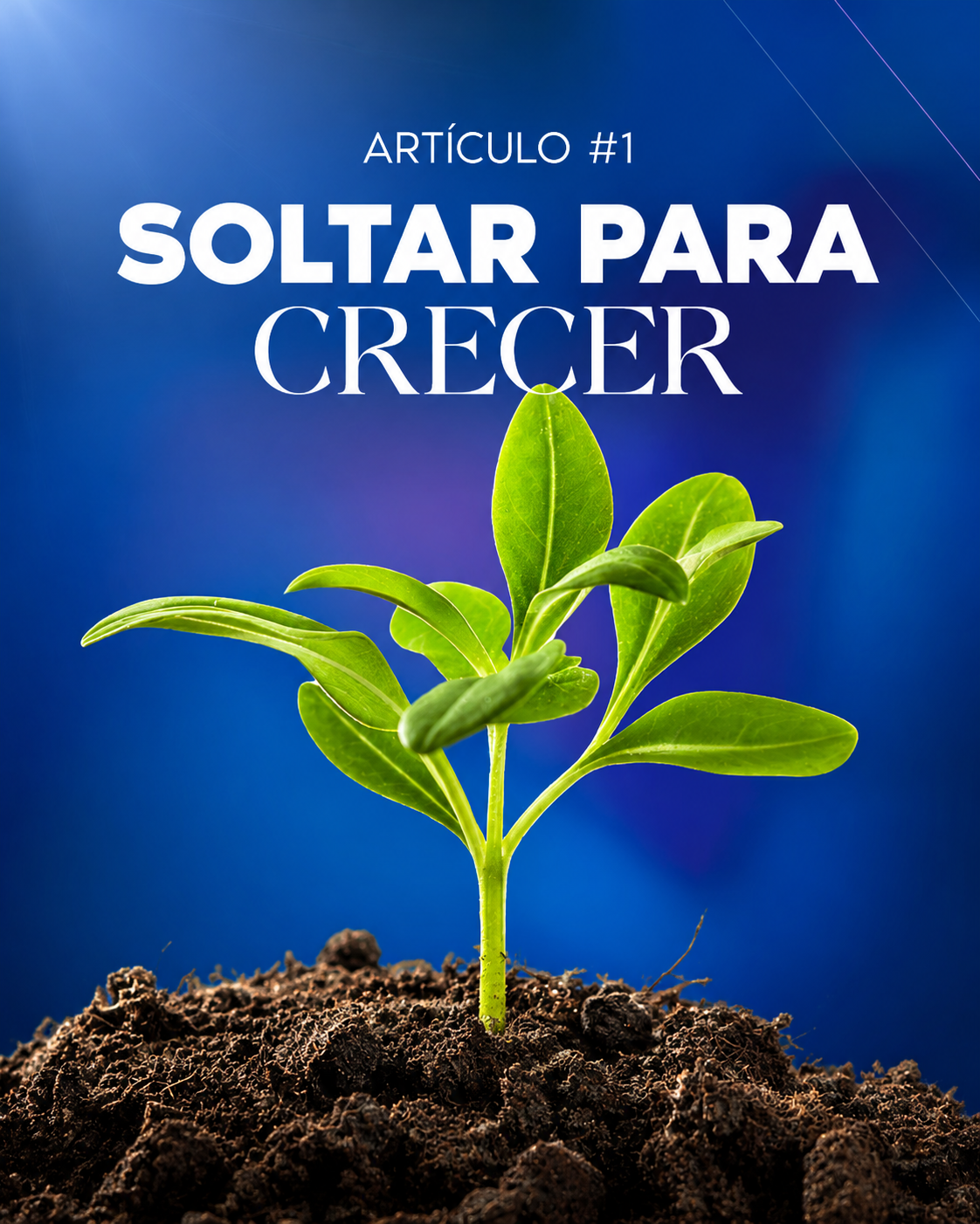 Imagen de blog